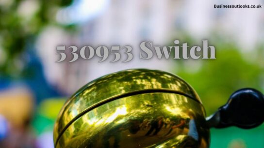 530953 switch