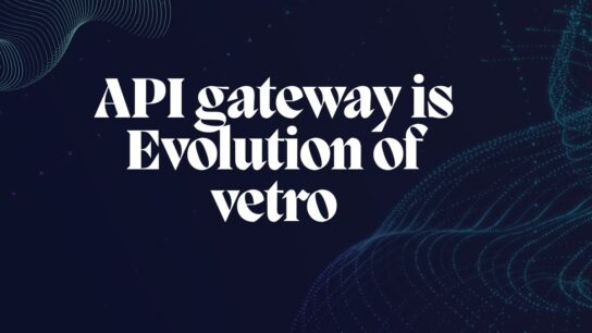 Api Gateway is Evolution of Vetro